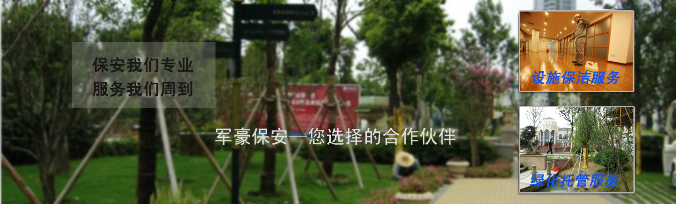 無軌電動(dòng)平車廠家